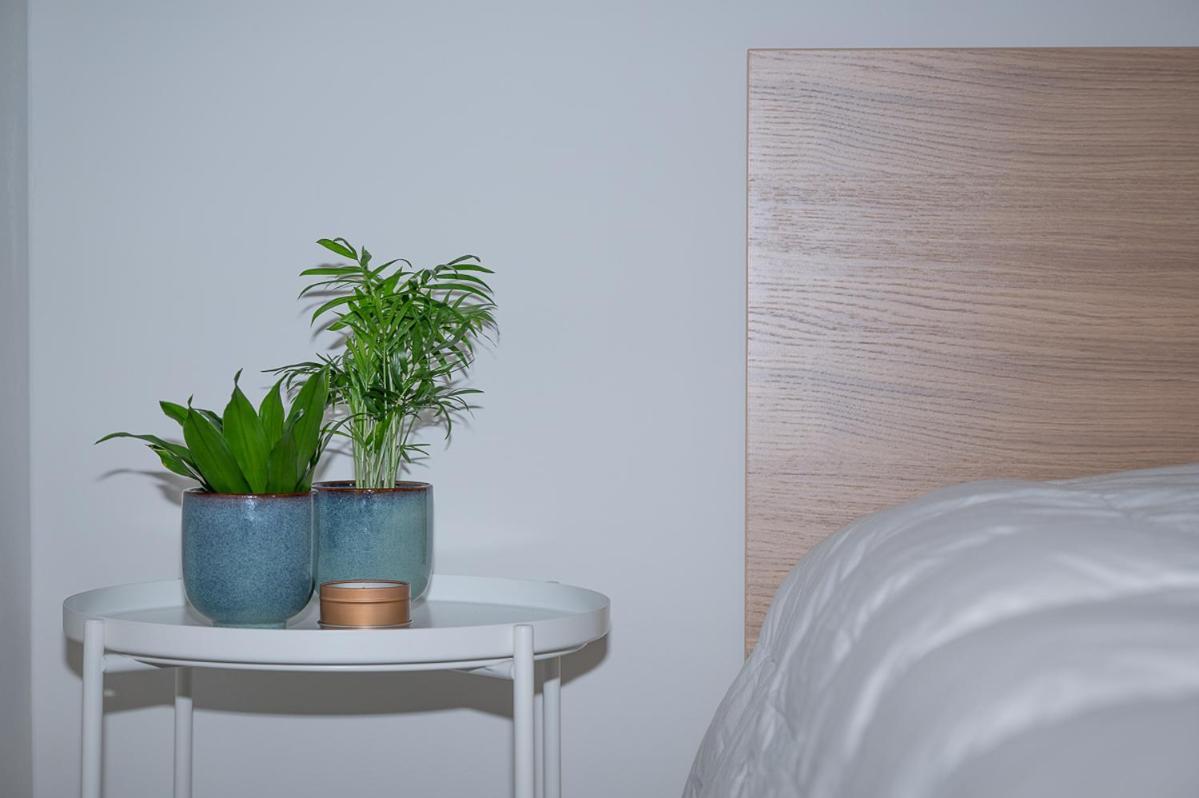Trendy Apartments As Base To Discover Gand Extérieur photo